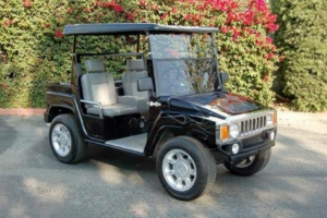 affordable golf cart rental, golf cart rent amelia island